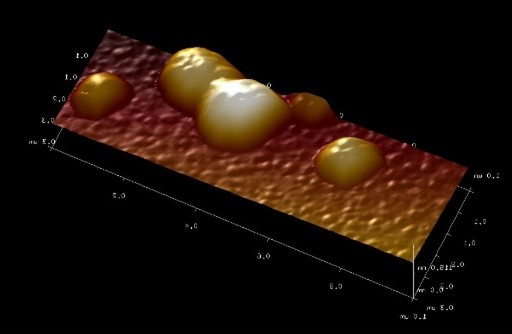 Atomic force microscope image of islands of mineral formed on the surface of peptide (HABP)-functionalized adhesives