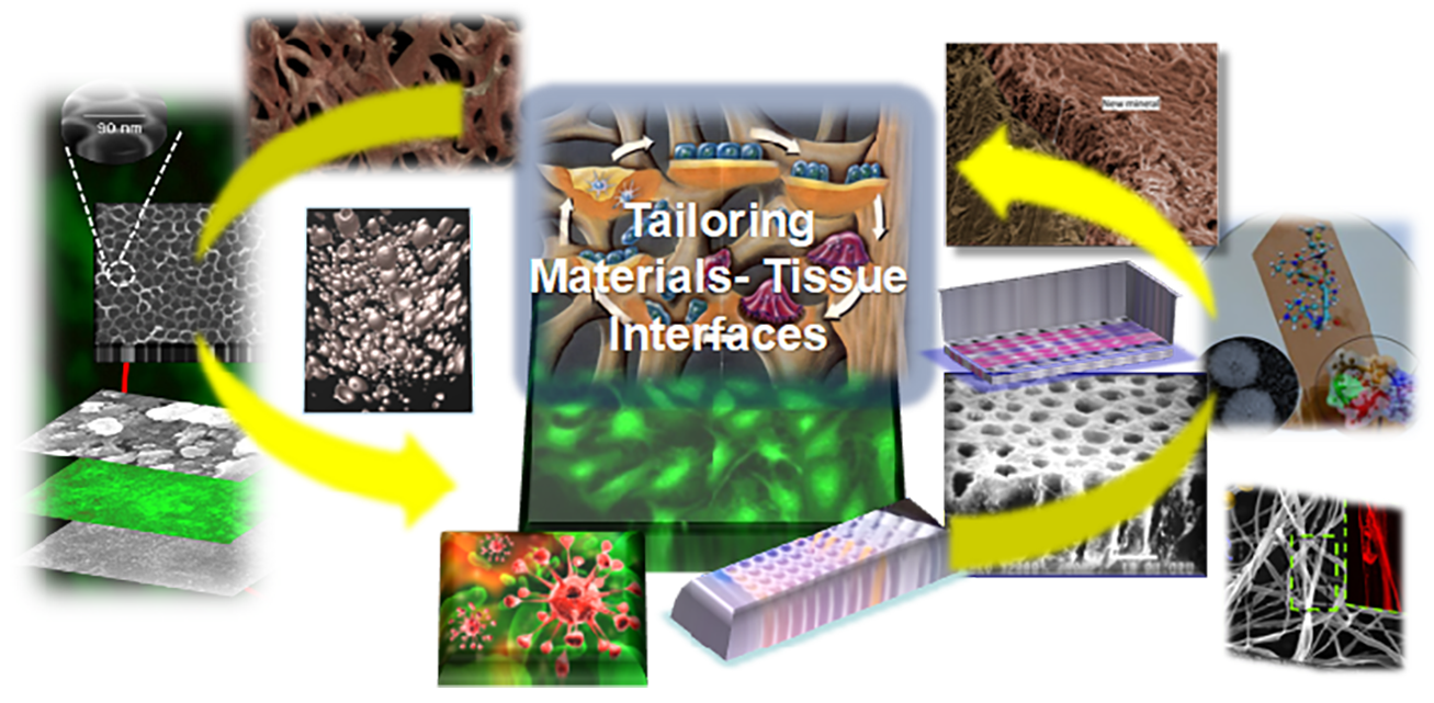 Tailoring Materials-Tissue Interfaces collage of biomaterials under magnification