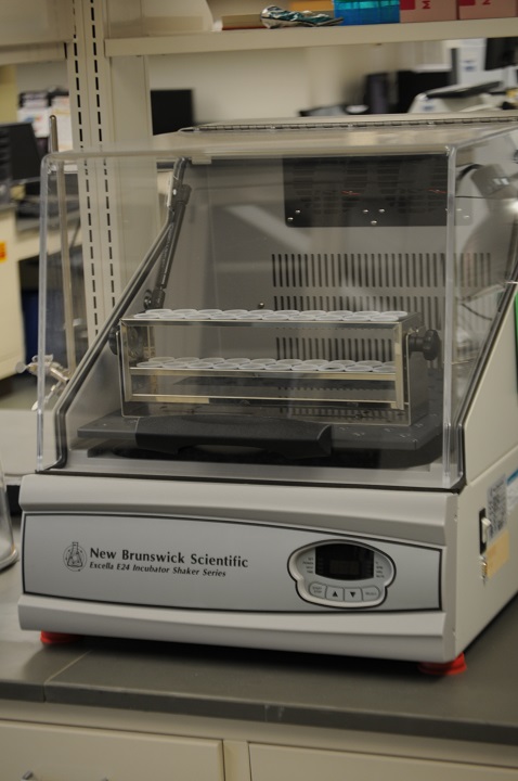 New Brunswick Scientific Excella E24 Incubator Shaker Series