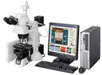 Nikon SMZ800 stereo microscope