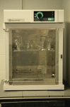 Fisher Scientific Isotemp Incubator