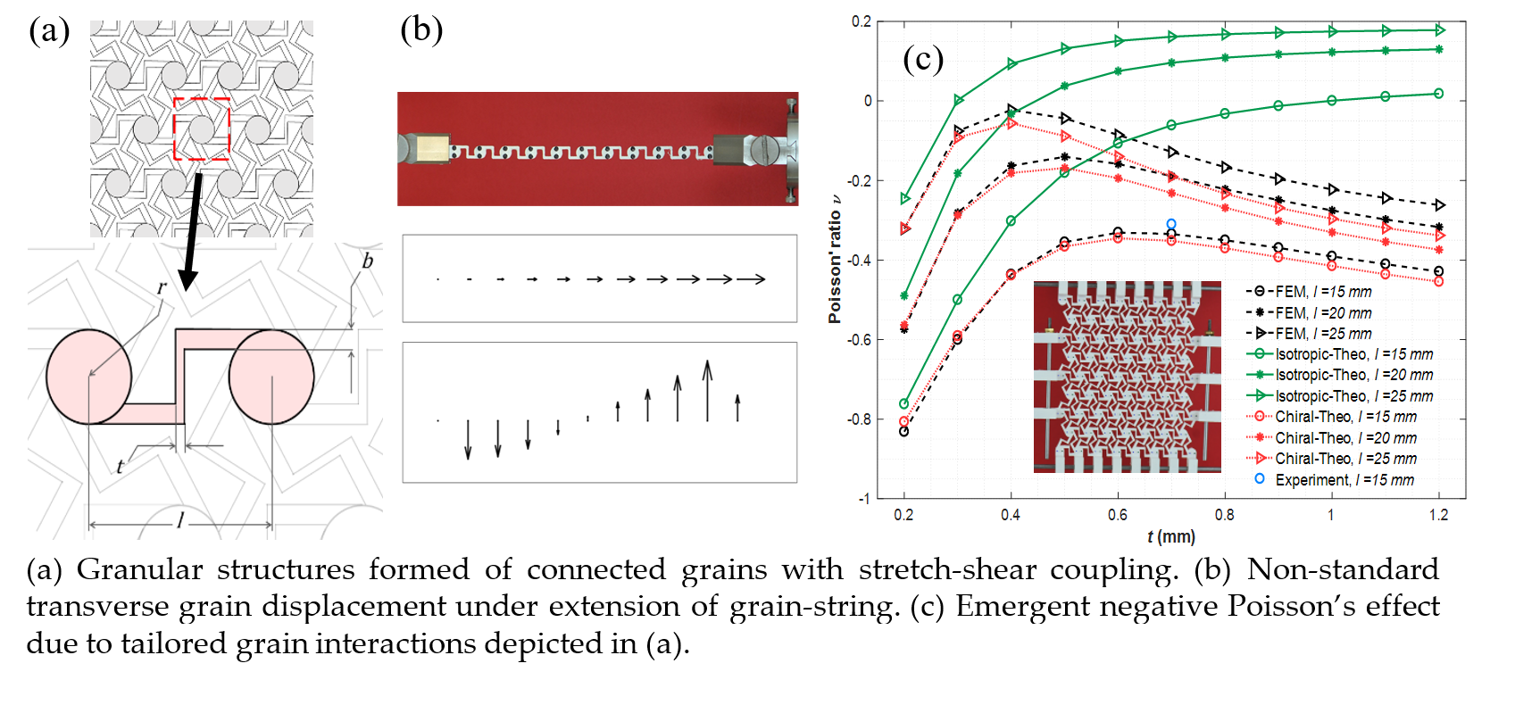 Images of: Granular structures of connected grains with stretch-shear coupling, Non-standard transverse grain displacement under extension of grain-string, and Emergent negative Poisson's effect due to tailored grain interactions