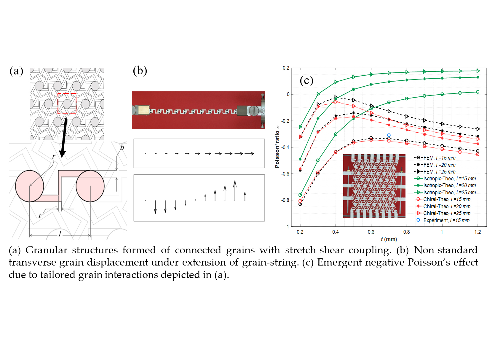 Images of: Granular structures of connected grains with stretch-shear coupling, Non-standard transverse grain displacement under extension of grain-string, and Emergent negative Poisson's effect due to tailored grain interactions