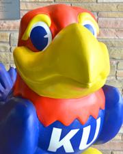 KU Jayhawk Placeholder image